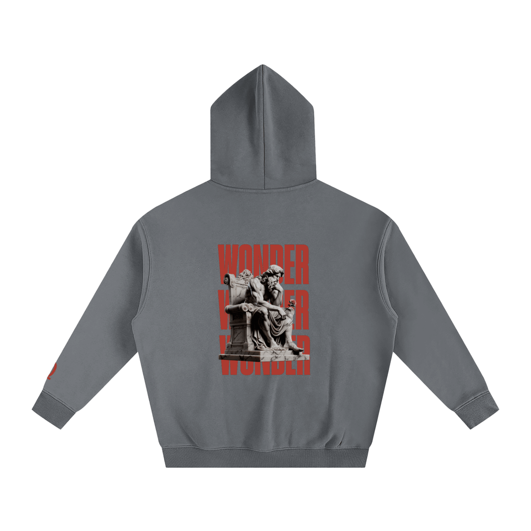 Wonder Hoodie