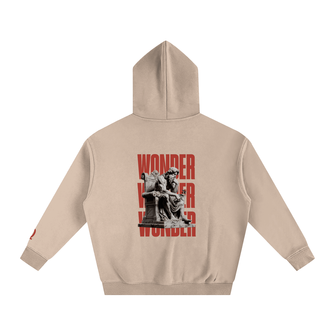 Wonder Hoodie