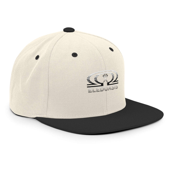 ELEDOasis snapback hat