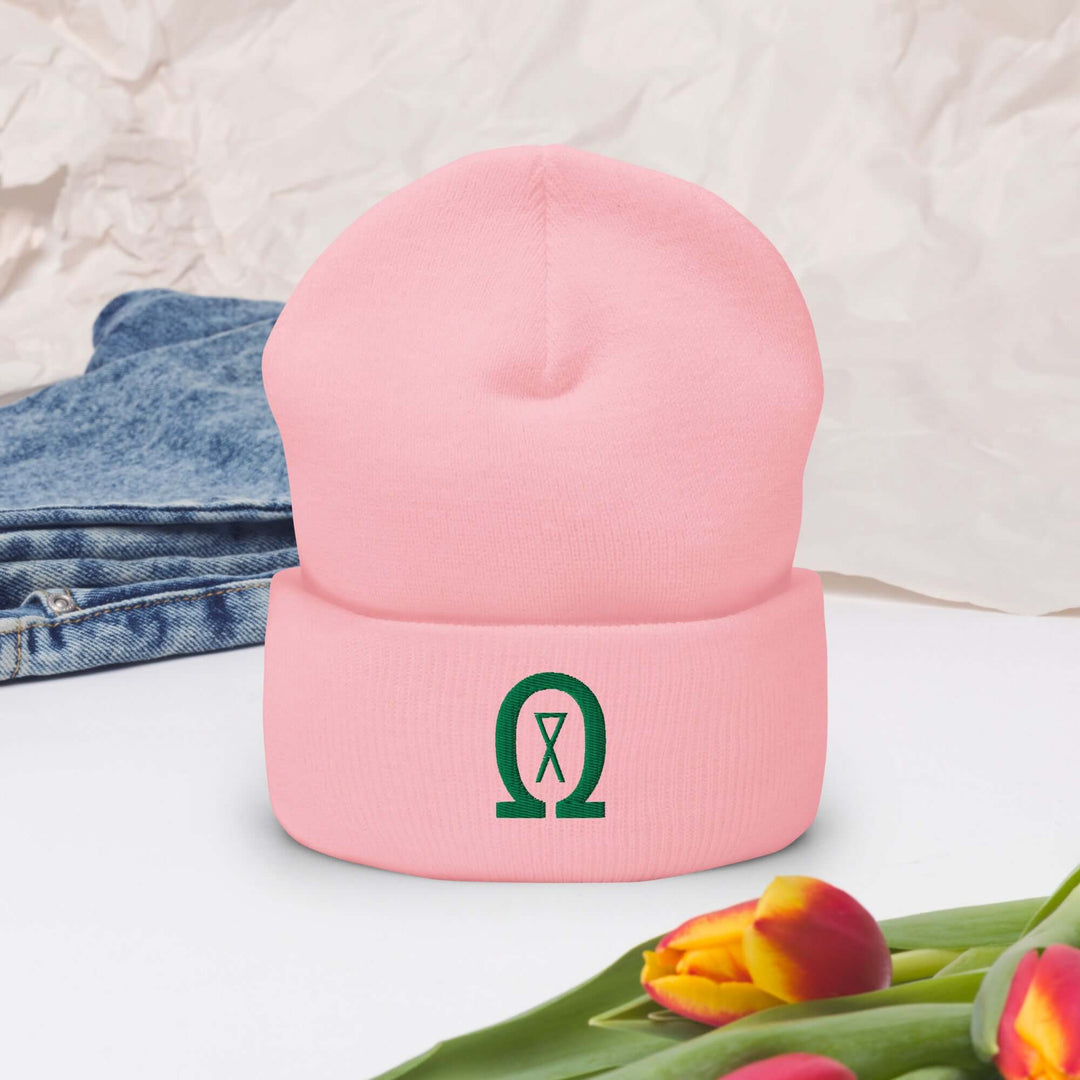 Cuffed Beanie Winter Headwear for Men &amp; Women