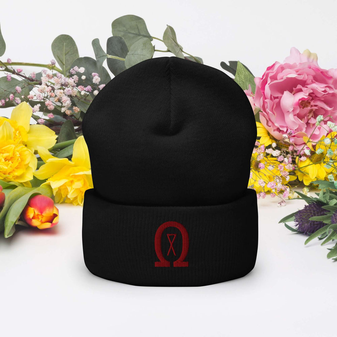 Cuffed Beanie Winter Headwear for Men &amp; Women