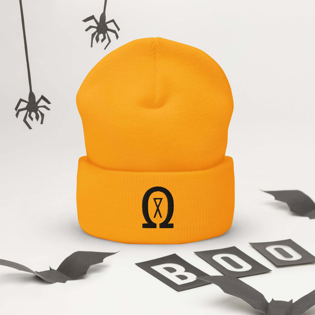 Cuffed Beanie Winter Headwear for Men &amp; Women