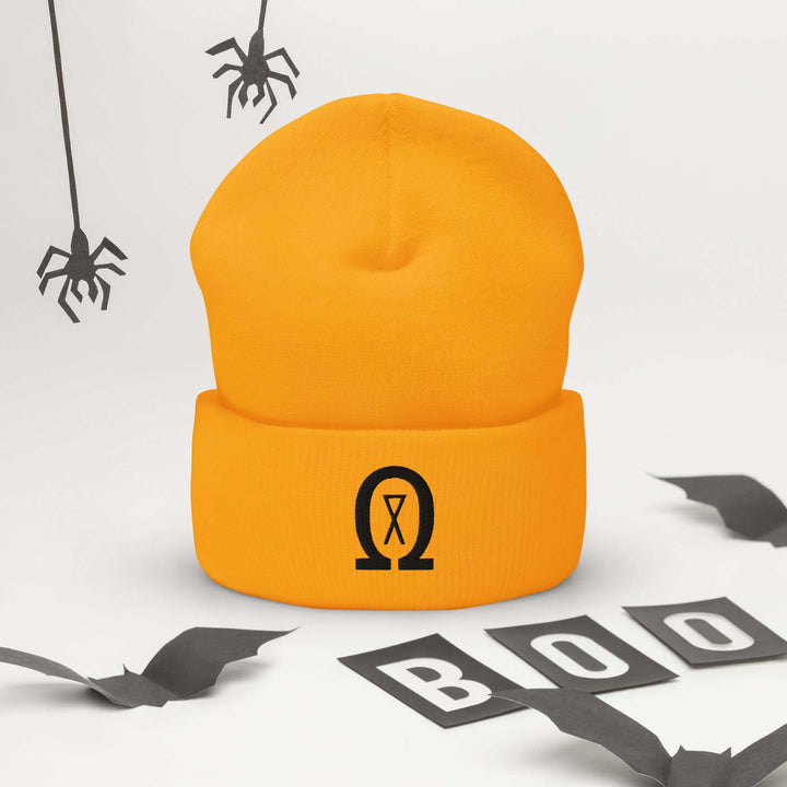 Cuffed Beanie Winter Headwear for Men &amp; Women