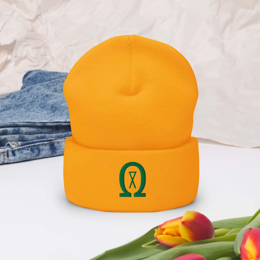 Cuffed Beanie Winter Headwear for Men &amp; Women