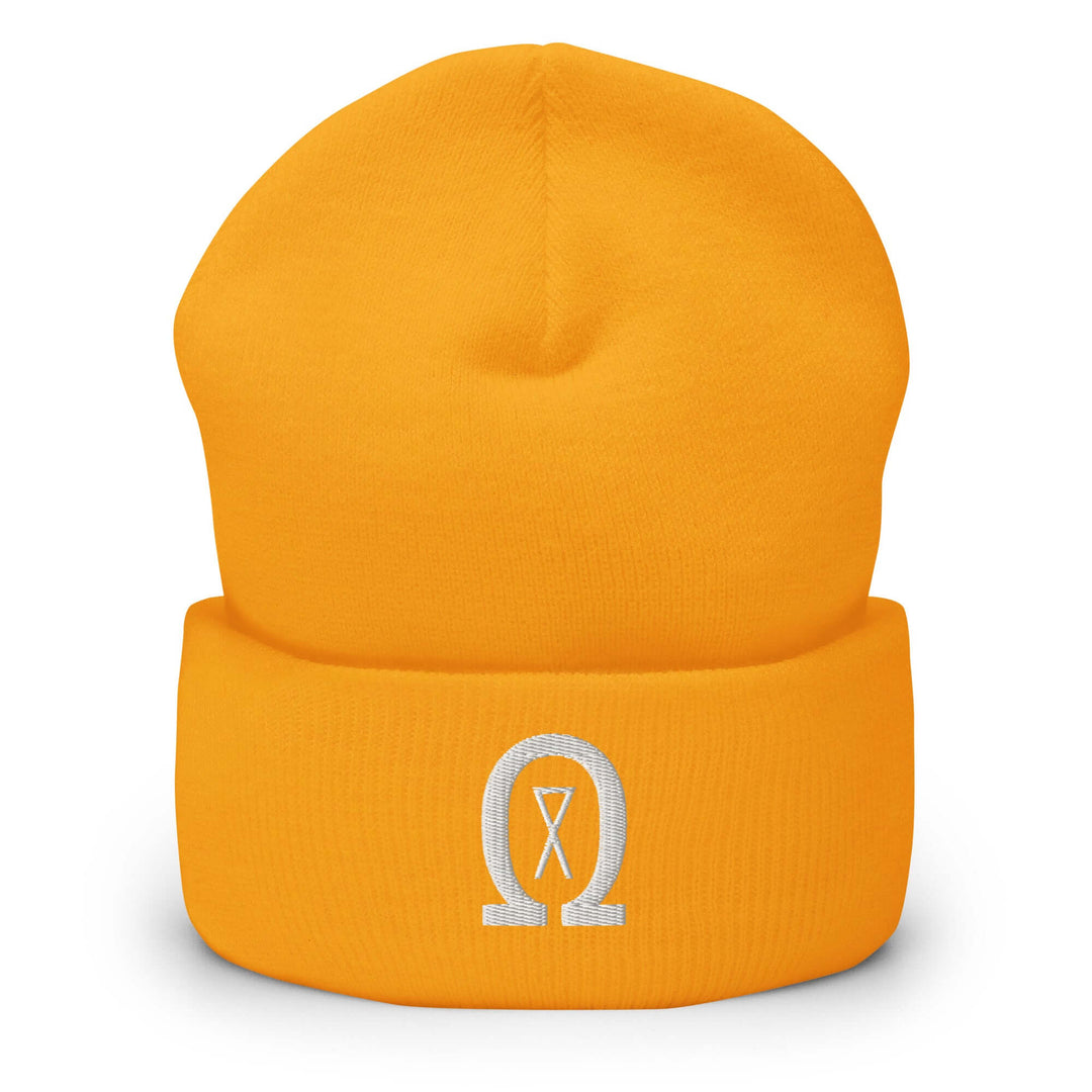 Cuffed Beanie Winter Headwear for Men &amp; Women