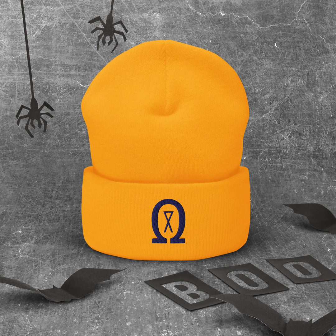 Cuffed Beanie Winter Headwear for Men &amp; Women
