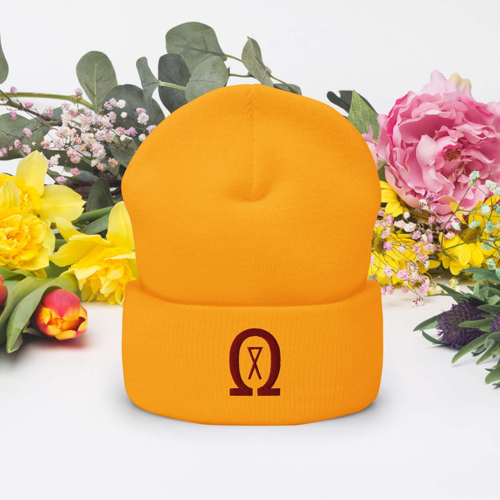 Cuffed Beanie Winter Headwear for Men &amp; Women