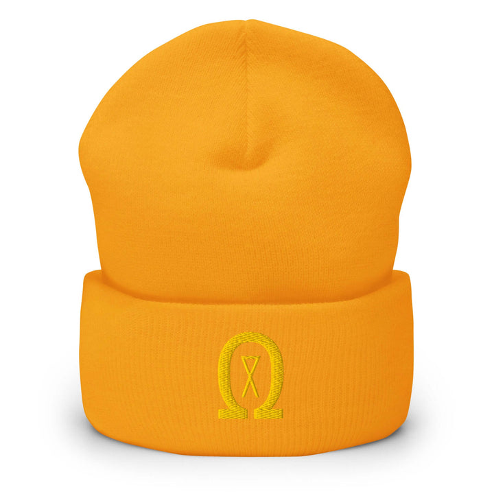 Cuffed Beanie Winter Headwear for Men &amp; Women