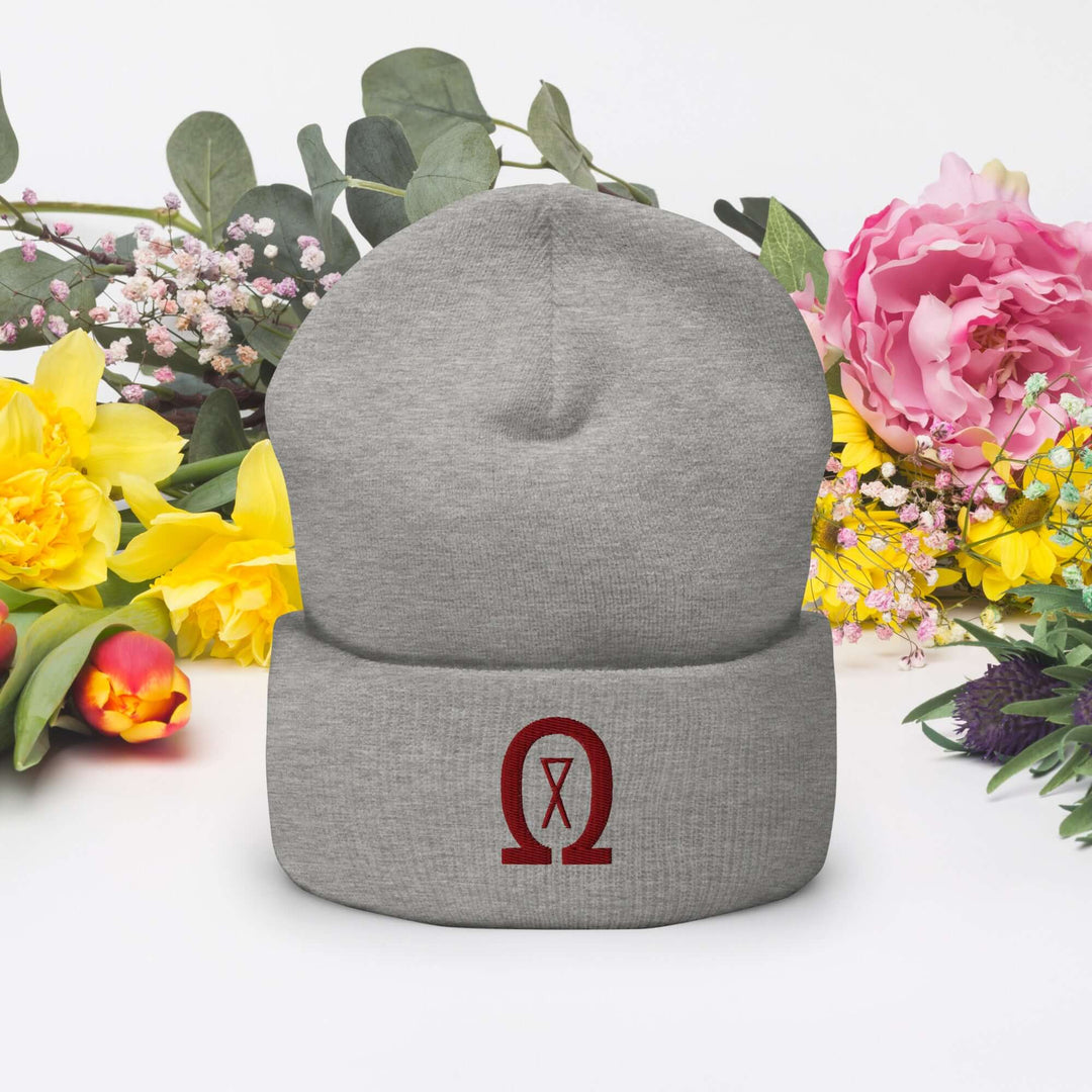 Cuffed Beanie Winter Headwear for Men &amp; Women