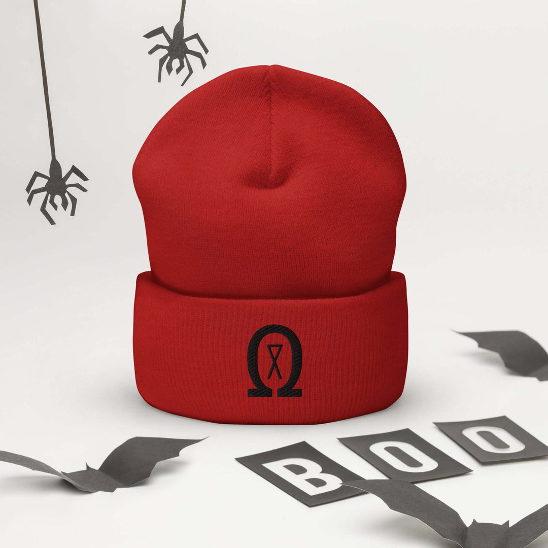 Cuffed Beanie Winter Headwear for Men &amp; Women