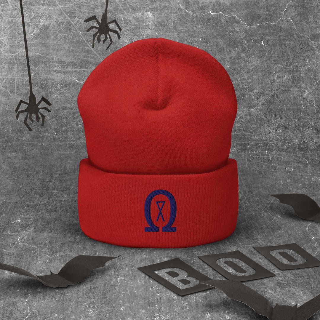 Cuffed Beanie Winter Headwear for Men &amp; Women