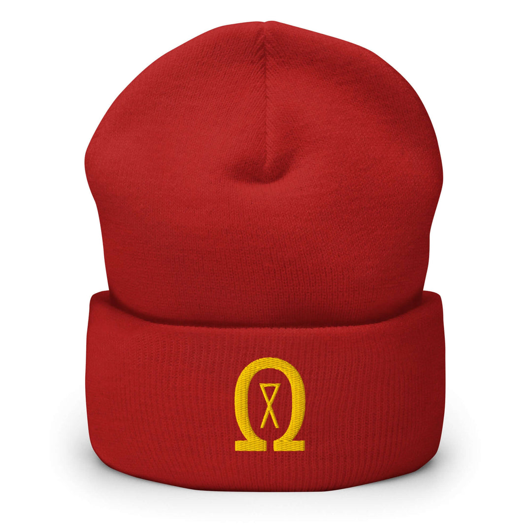 Cuffed Beanie Winter Headwear for Men &amp; Women