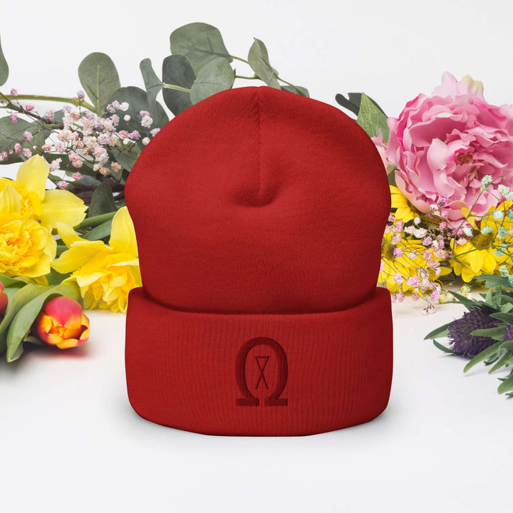 Cuffed Beanie Winter Headwear for Men &amp; Women