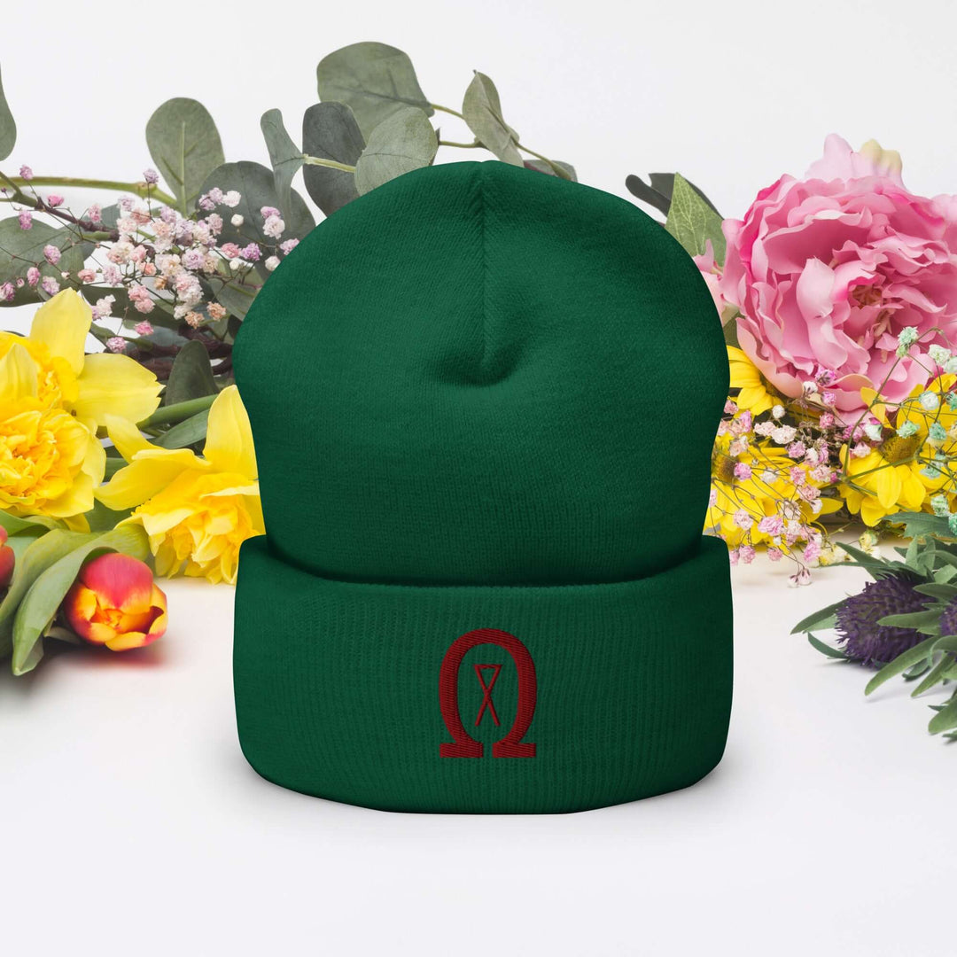 Cuffed Beanie Winter Headwear for Men &amp; Women