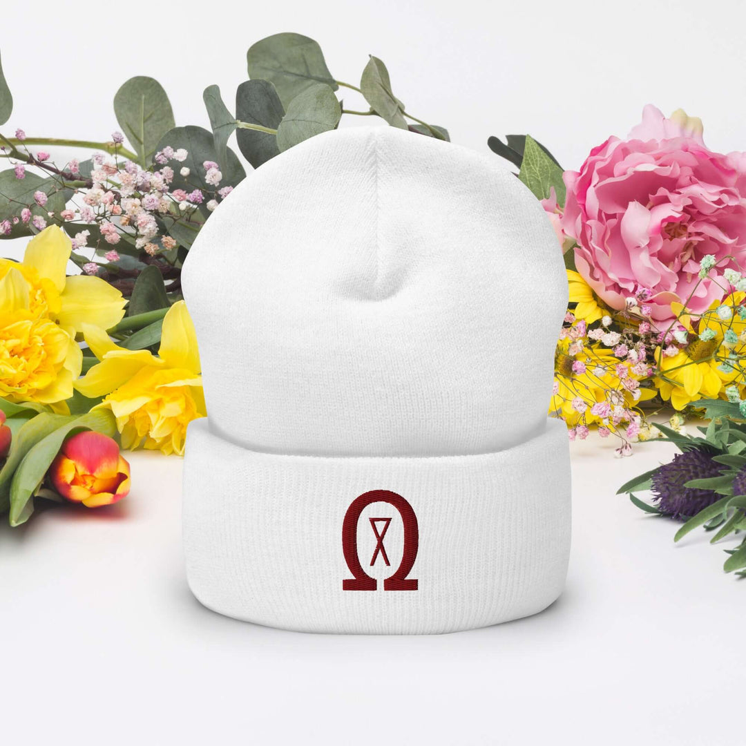 Cuffed Beanie Winter Headwear for Men &amp; Women