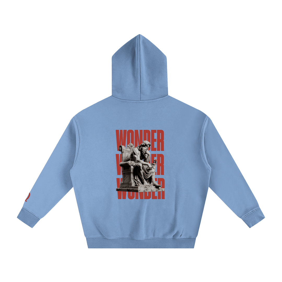 Wonder Hoodie