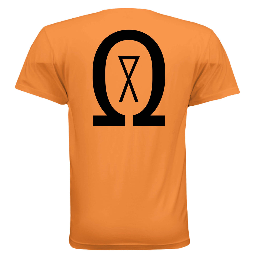 brand falling CLASSIC ORANGE - BACK